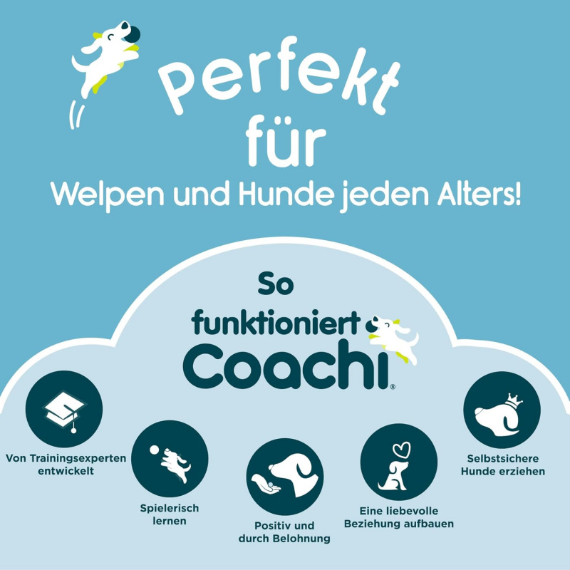 Trainingsgurt Coachi Blau 10m Ausbildung